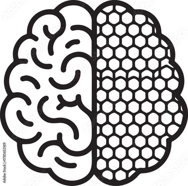 Fototapeta Brain icon with left side representing organic thought and right side depicting a structured honeycomb pattern for logical processing and ai.