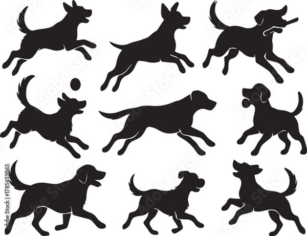 Fototapeta Collection of black dog silhouettes jumping, running, and playing fetch, isolated on clean background