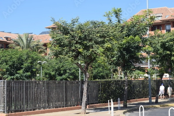 Obraz Tranquilo contraste