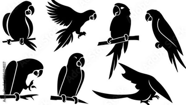 Obraz Black parrot silhouette vector graphic design illustration set for creative projects and designs exactly vector silhouette set, silhouette illustration.