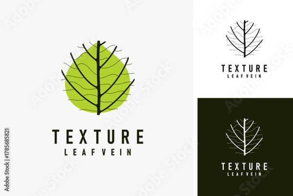 Fototapeta Leaf vein logo symbol icon design