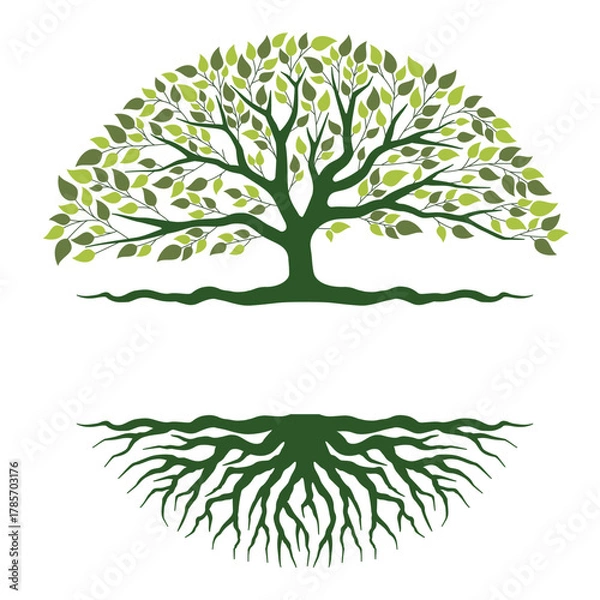 Fototapeta Tree with roots and leaves — nature growth and life balance concept vector illustration