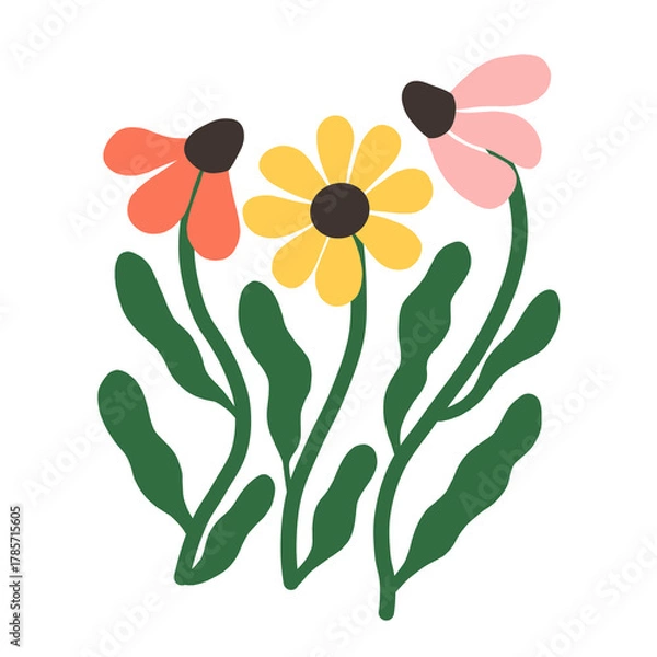 Obraz vector illustration of a sunflower