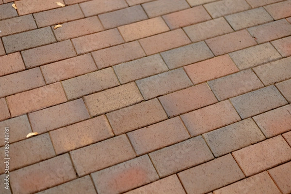 Obraz Brick pavement pattern in warm tones