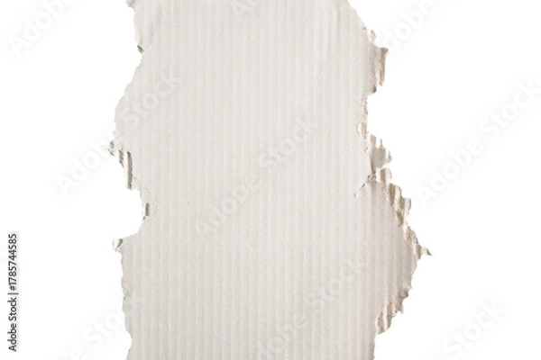 Fototapeta White corrugated paper with torn edges.
