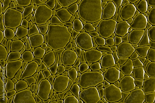 Fototapeta Shiny green leather surface close up.