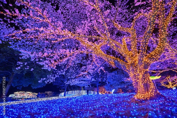 Obraz ライトアップされた桜