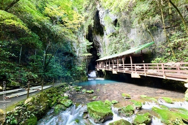 Obraz 山口の観光地の秋芳洞と秋吉台