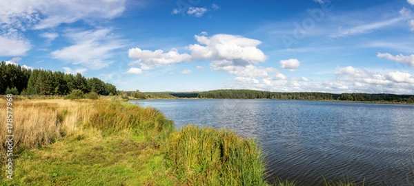 Fototapeta летний пейзаж на берегу с камышом, Россия, Урал, июль