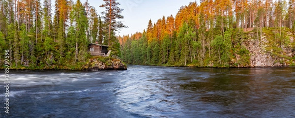 Obraz summer landscape. river in the forest
