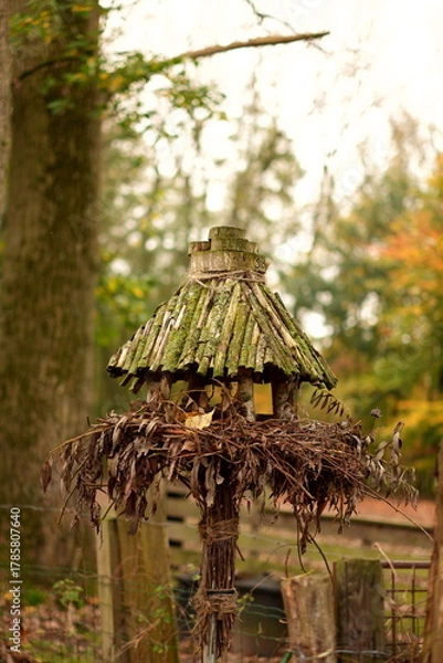 Obraz bird feeder in garden