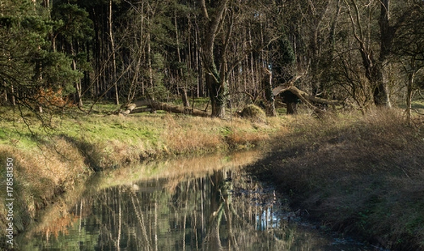 Obraz After the storm.