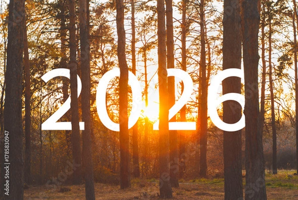 Obraz 2026 behind the trees in the park during sunset