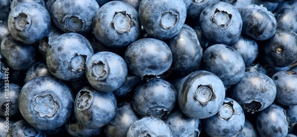Obraz Blueberries as a background.