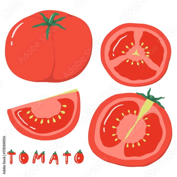 Obraz Cute Tomato Cutaway Illustration Set Vol.1