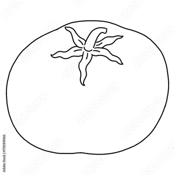 Obraz Cute Tomato Cartoon - Outline