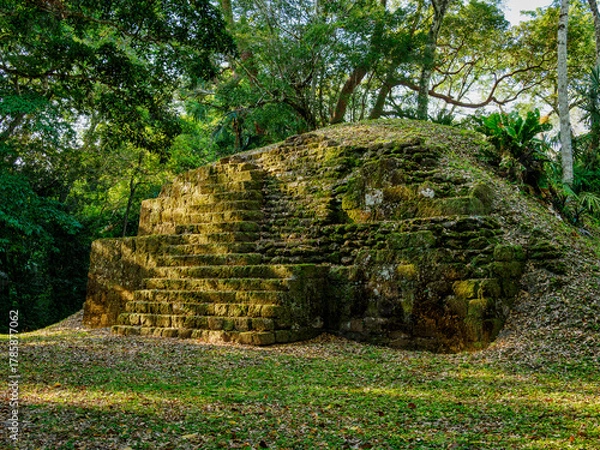 Fototapeta Group A, Uaxactun Archaeological Site, Peten Department, Guatemala