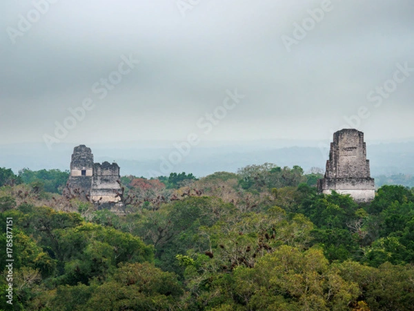 Fototapeta Temples I, II and III at dawn, elevated view, Tikal, Peten Department, Guatemala