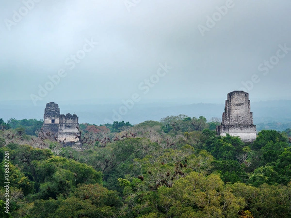 Fototapeta Temples I, II and III at dawn, elevated view, Tikal, Peten Department, Guatemala