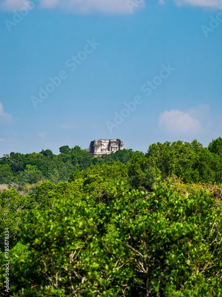 Fototapeta View over rainforest towards Temple 216, Yaxha Archaeological Site, Peten Department, Guatemala