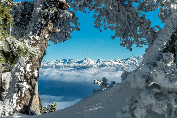 Fototapeta L' hiver en montagne , massif de la Chartreuse , Aulp du Seuil , vue sur Belledonne, Col de Marcieu , Isère , France