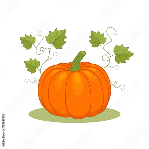 Obraz Autumn composition: pumpkin with leaves. Color vector illustration. Isolated on white background.	