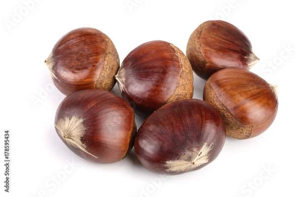 Fototapeta sweet chestnut isolated on white background