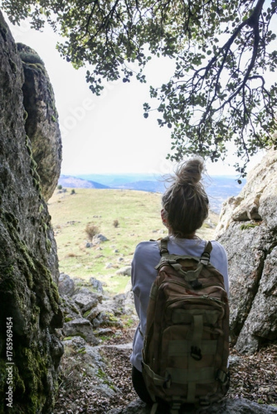 Obraz Blonde woman with a bun looking at the mountains after walking along the paths accompanied by her dog