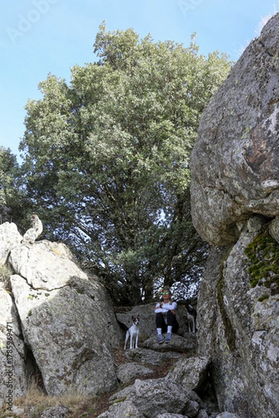 Obraz Blonde woman with a bun looking at the mountains after walking along the paths accompanied by her dog