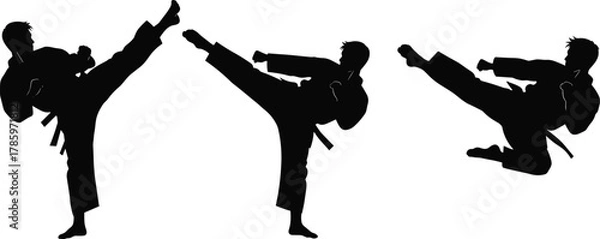 Obraz Martial arts silhouette, high kick pose, flying kick action, karate training, taekwondo technique, black figure, combat movement, discipline