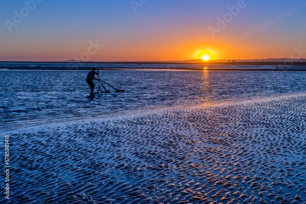 Fototapeta Shellfish harvester working at sunset in Isla Canela, Ayamonte