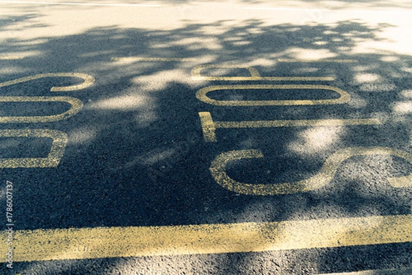 Fototapeta アスファルトのペイント、bus stop　落ちる木漏れ日