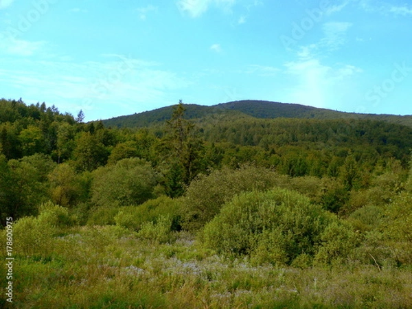 Obraz Moutains freshness