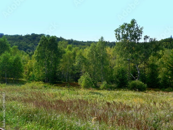 Obraz Moutains freshness