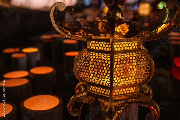 Fototapeta 山鹿灯籠浪漫・百華百彩の灯籠