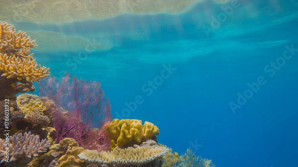 Fototapeta Underwater Coral Reef Scene with Vibrant Colors, Clear Blue Water, and Sunlight Reflections for Marine Life and Ocean Conservation Concepts