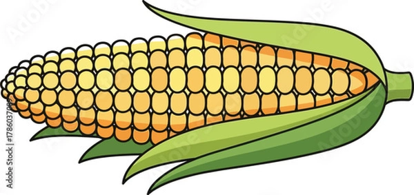 Obraz Fresh corn on the cob with husk