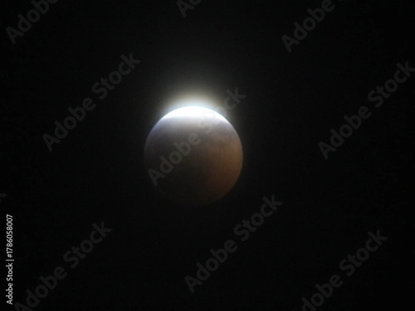 Fototapeta Blood Moon Eclipse in 2019