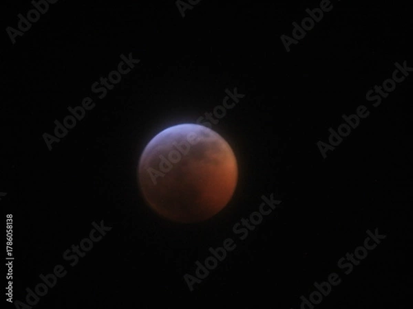 Fototapeta Blood Moon Eclipse in 2019