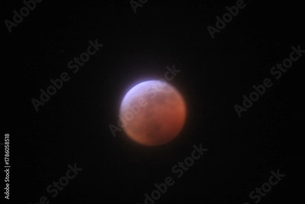 Fototapeta Blood Moon Eclipse in 2019