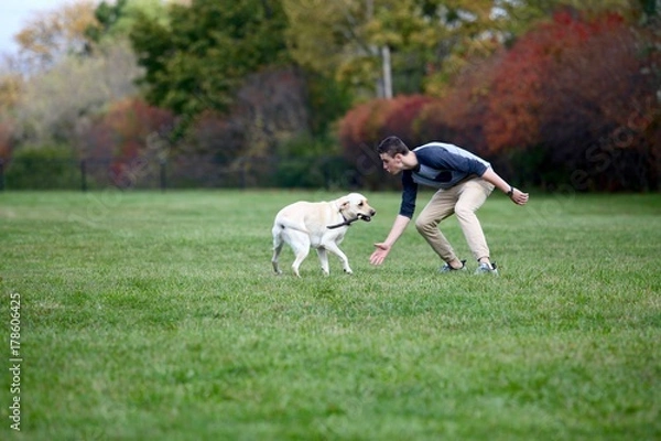 Fototapeta Teenage boy playing fetch with a stick and his labrador dog