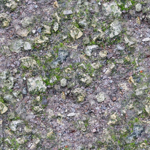 Obraz seamless gray rocky ground with moss texture. background.
