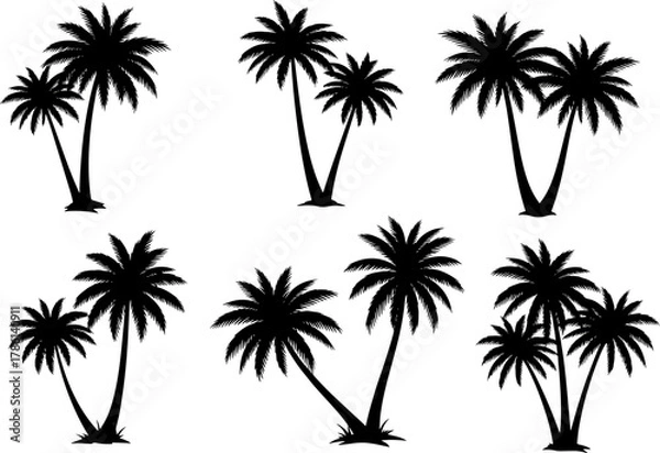 Fototapeta Collection of Black Silhouettes of Various Palm Trees on a White Background, Tropical Vector Graphics