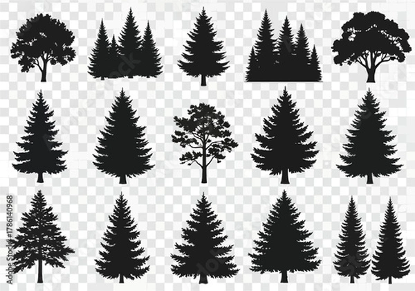Obraz Collection of Black Silhouettes of Various Trees and Conifers, Realistic Forest Elements, Isolated on Transparent Background, Vector Graphics