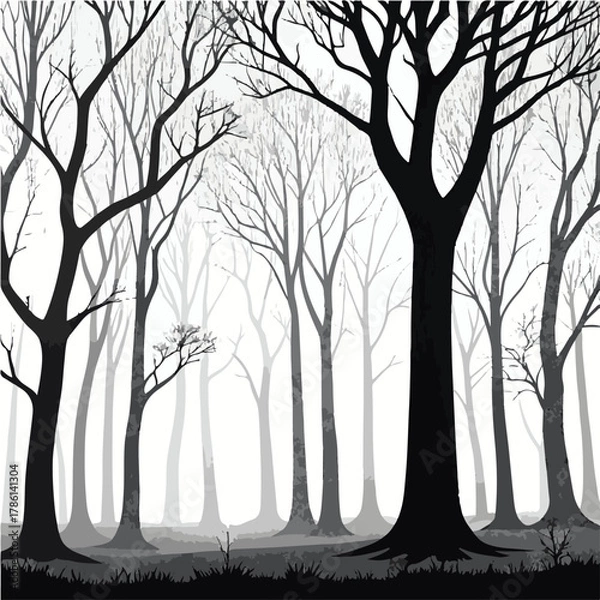 Obraz Dense forest of bare trees in grayscale with fog and dark foreground branches winter