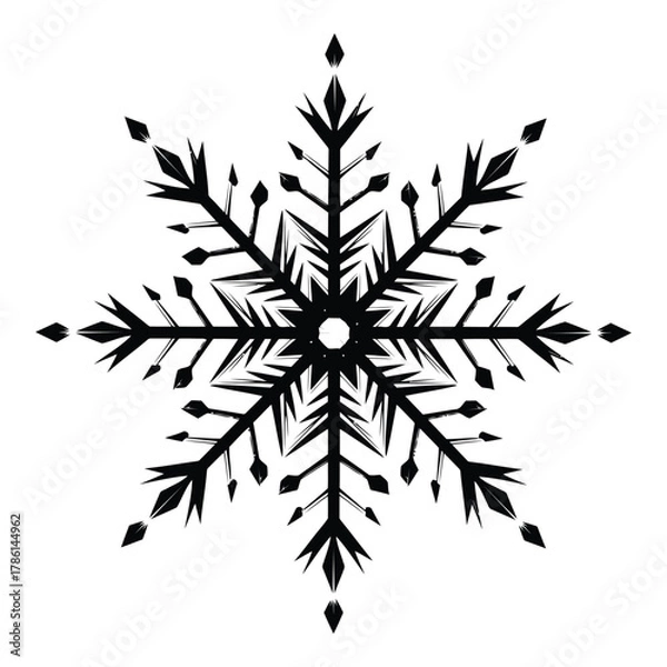 Fototapeta Snowflake