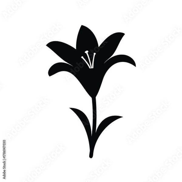 Fototapeta Elegant Black and White Lily Flower Silhouette with Delicate Petals and Stem