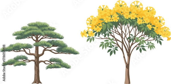 Fototapeta Stylized bonsai-like tree and flowering yellow tree side by side, botanical contrast, seasonal foliage, nature diversity, spring bloom, forest flora, educational illustration, landscape design referen
