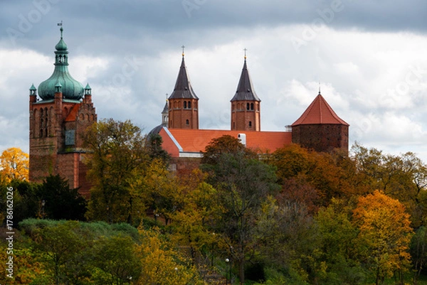 Fototapeta Plock Cathedral in autumn landscape. Plock, Poland