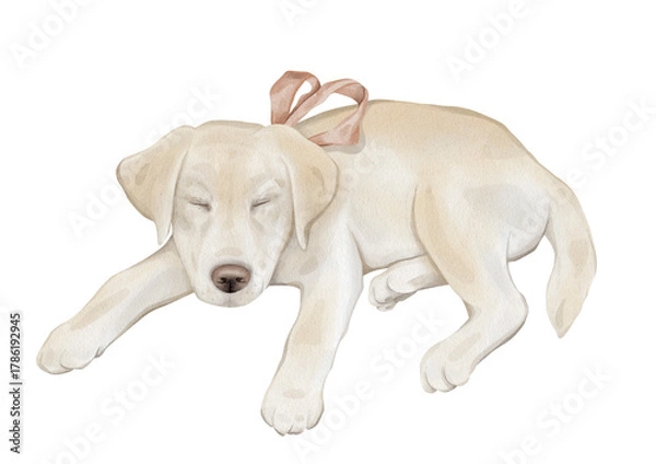 Fototapeta Watercolor character beige yellow retriever puppy dog isolated on white background. Hand drawn illustration sketch Labrador sleeping and a red bow around his neck.